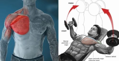 40 Minute Chest Workout For Bigger & Stronger Chest