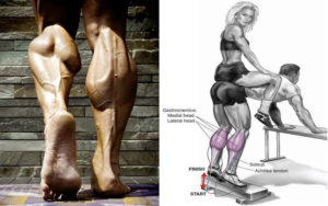 8 Mistakes That Are Keeping Your Calves Small