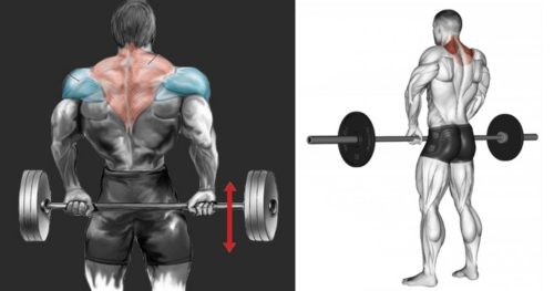 Front Barbell Shrugs vs. Behind-the-Back Shrugs