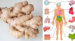 If You Eat Ginger Every Day for a Month This is What Happens to Your Body