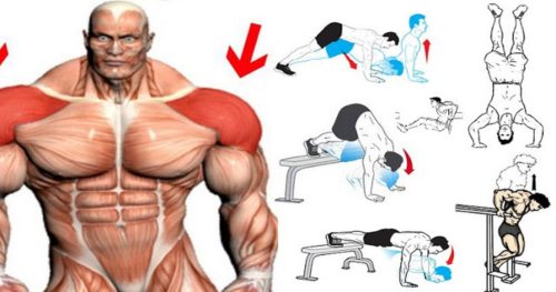 Bodyweight Shoulder Exercises You Can Do at Home
