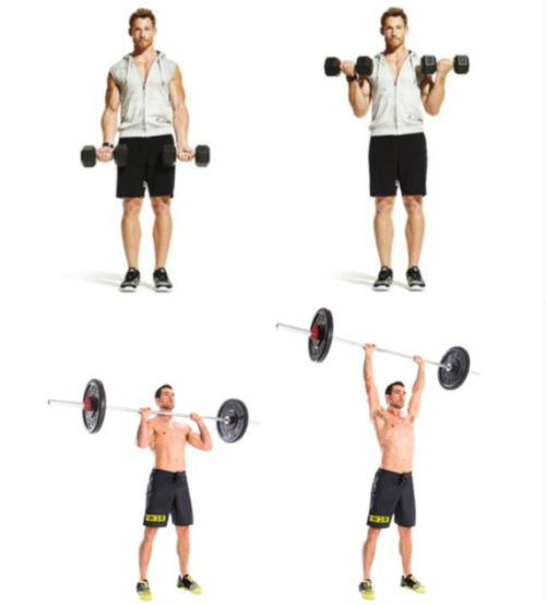 BicepsCurlShoulderPress Fitness Workouts & Exercises