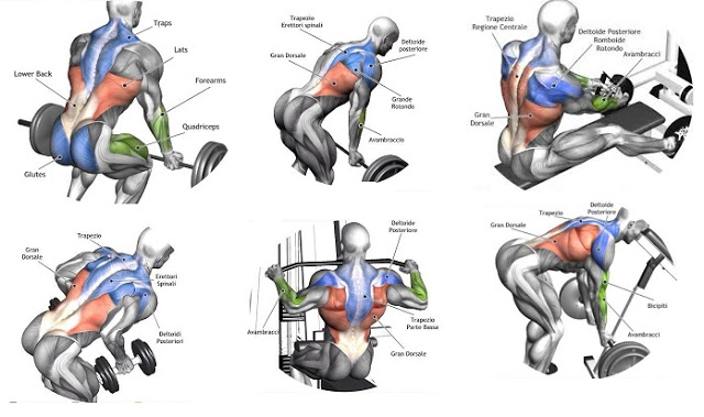 Building Back Muscles – 3 Mass Building Back Exercises | Fitness ...