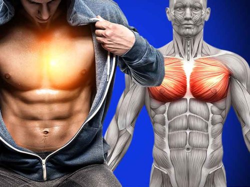 Explosive 6 Non-Bench Exercises For Chest Muscle Growth
