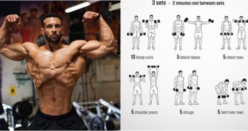 The Best Upper Body Muscle Building Exercises