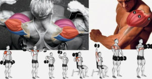 The 4-Week Dumbbell Workout Plan Part 4: Shoulders