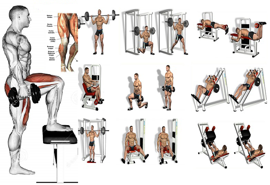 5 Leg Workouts A Beginner s Guide Fitness Workouts Exercises