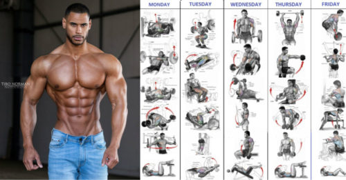 Effective Workout Plan & Training Strategy For Natural Lifters