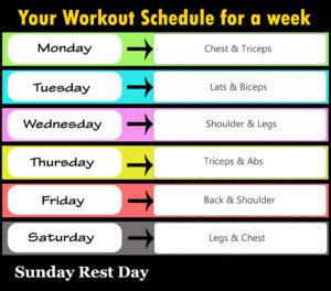 Full Week GYM Workout Plan