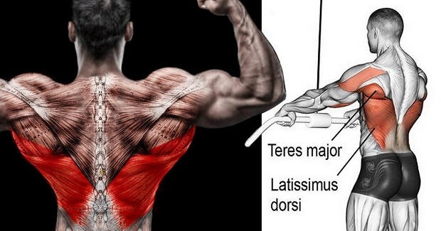 How do you tell if you are targeting your lats or targeting your teres