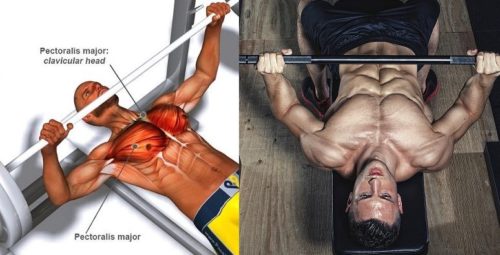 Up Your Bench Press
