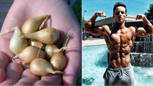 Do Onions Actually Increase Testosterone Levels?