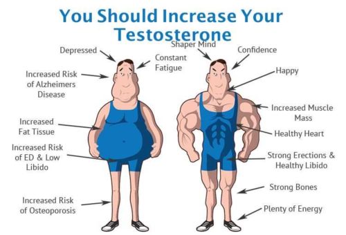 6 Steps To Naturally Increase Your Testosterone