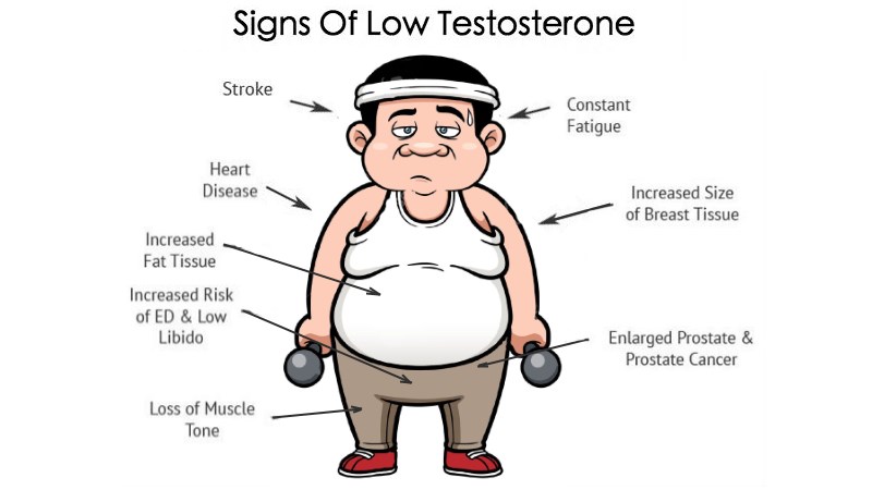 Hasil carian imej untuk testosterone levels