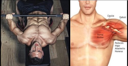 Bench Press Grip: How Wide Should Your Bench-Press Grip Be?