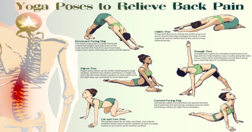 Yoga Poses To Relieve Back Pain
