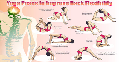 Yoga Poses To Improve Back Flexibility