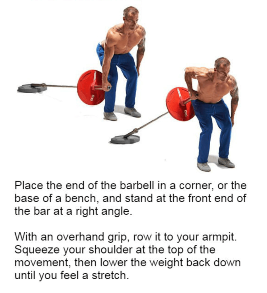 Total Body Workout Plan Using Only A Barbell 15 The Best Barbell