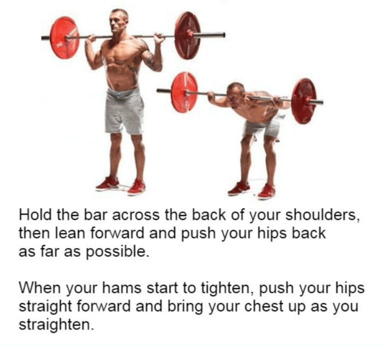 Total Body Workout Plan Using Only A Barbell 15 The Best Barbell