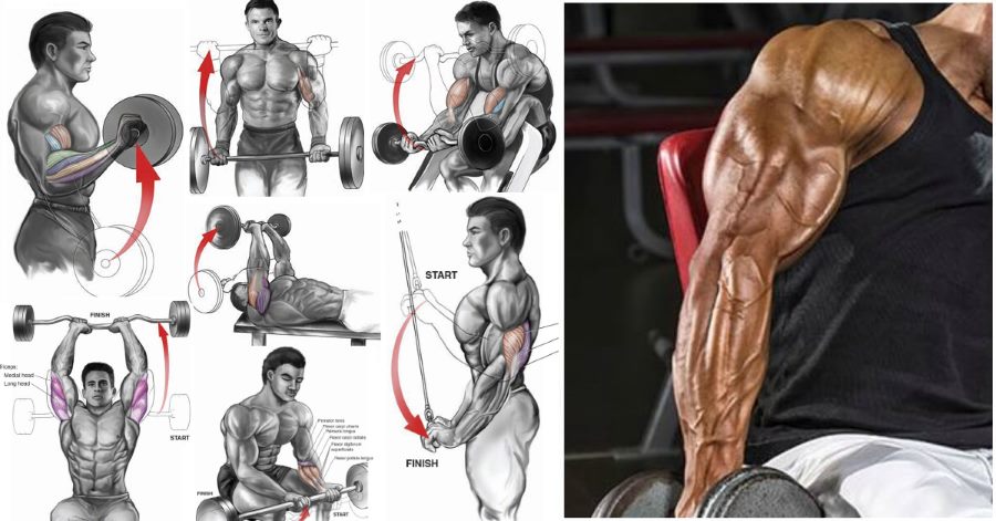 The 6 best bicep and tricep exercises for mass | Fitness Workouts ...