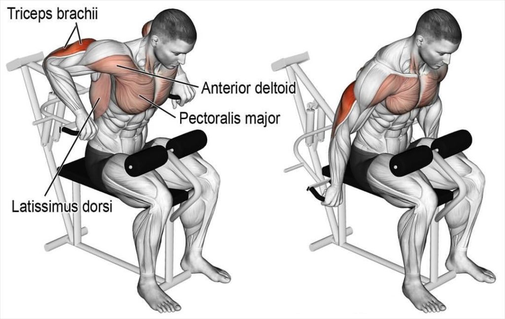 SeatedMachineDip Fitness Workouts & Exercises